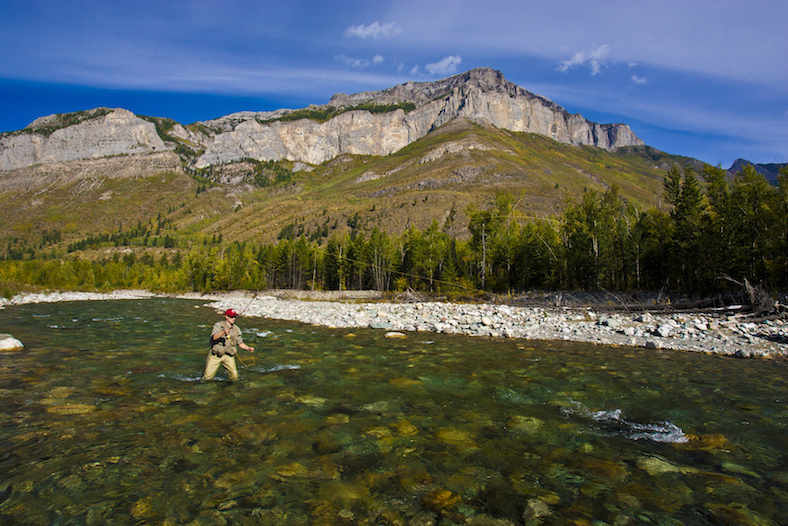 Fly Fishing Fernie