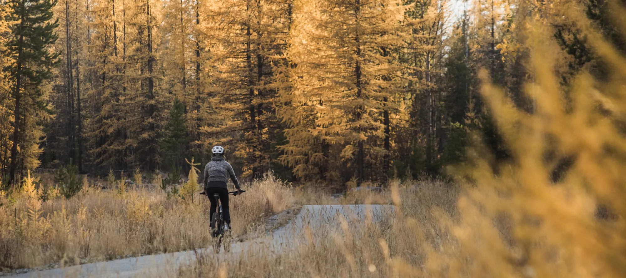 Fall biking in Kimberley BC Photo DBC/ Kari Medig